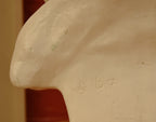 Vintage Plaster Bust of Composer