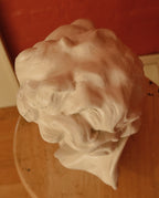 Vintage Plaster Bust of Composer