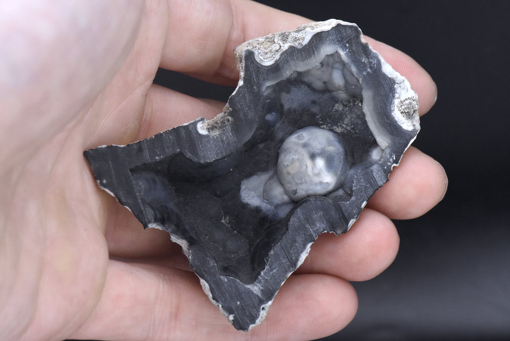 Agatized Coral Fossil Geode Half Specimen