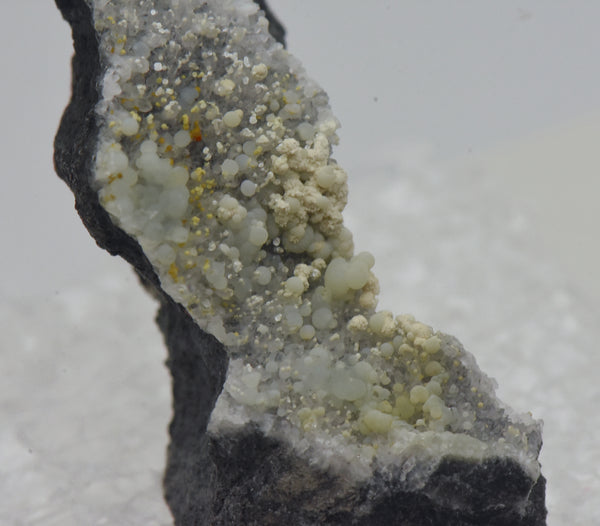 Crandallite with Variscite and Minor Cacoxenite on Quartz Thumbnail Specimen - Nevada, USA