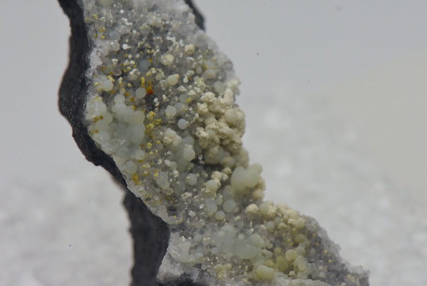 Crandallite with Variscite and Minor Cacoxenite on Quartz Thumbnail Specimen - Nevada, USA