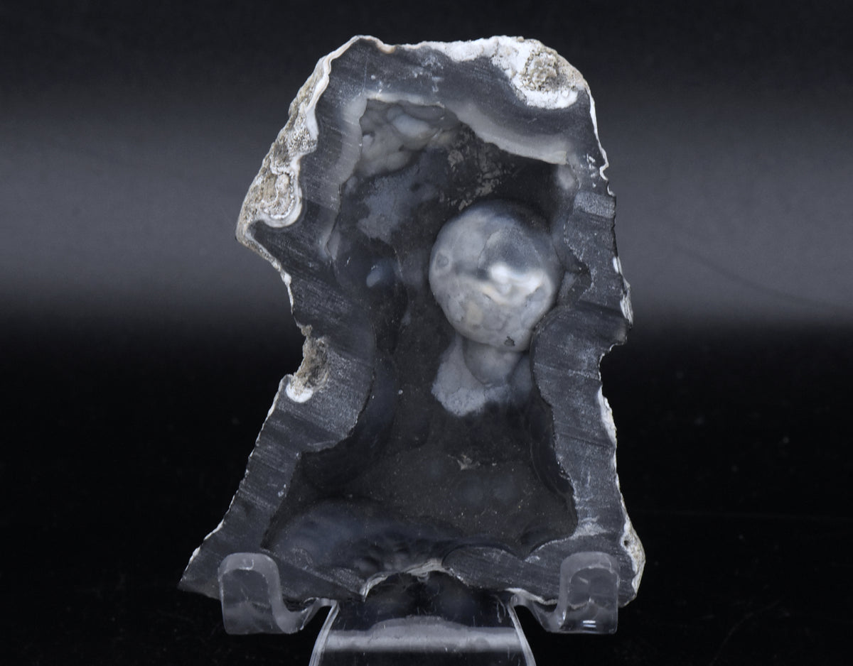 Agatized Coral Fossil Geode Half Specimen