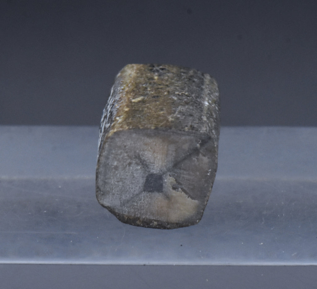 Unpolished Chiastolite Specimen - 10g