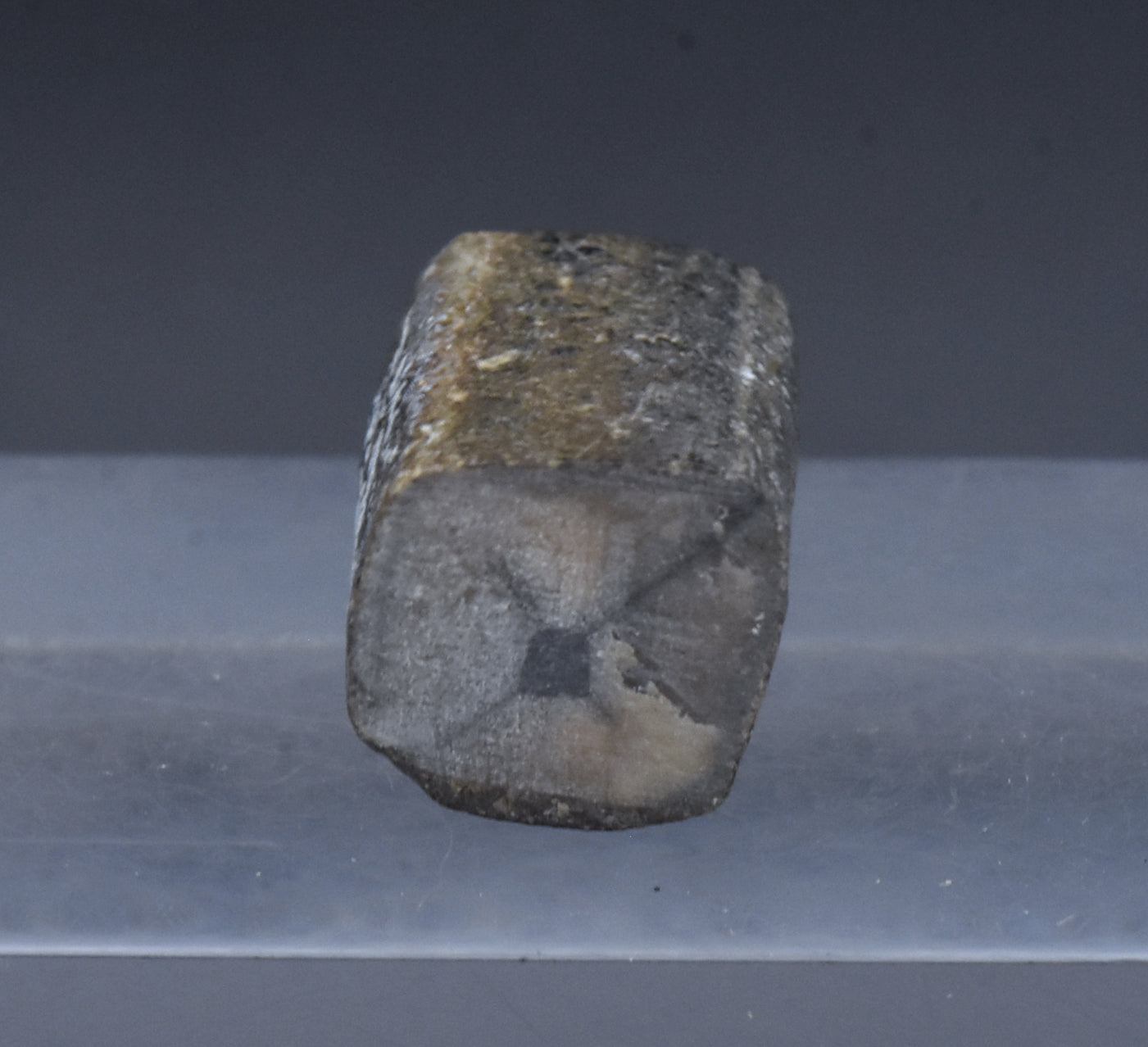 Unpolished Chiastolite Specimen - 10g