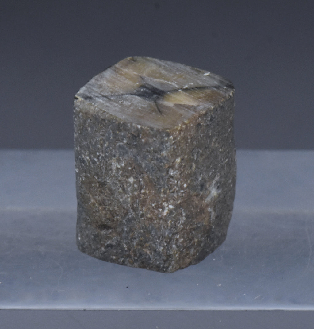 Unpolished Chiastolite Specimen - 10g