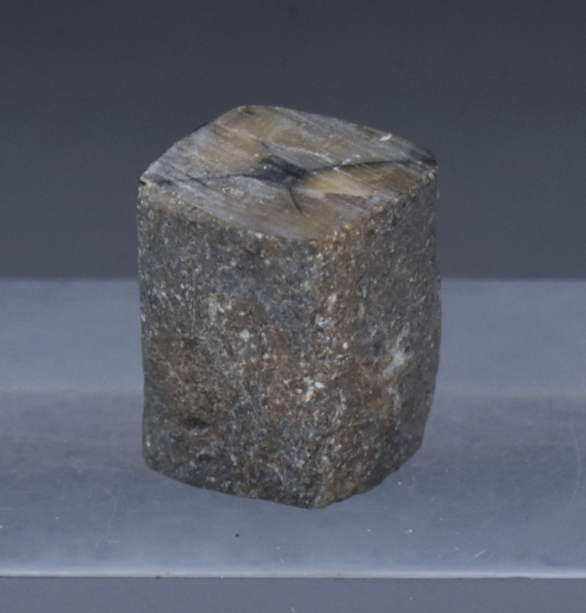 Unpolished Chiastolite Specimen - 10g