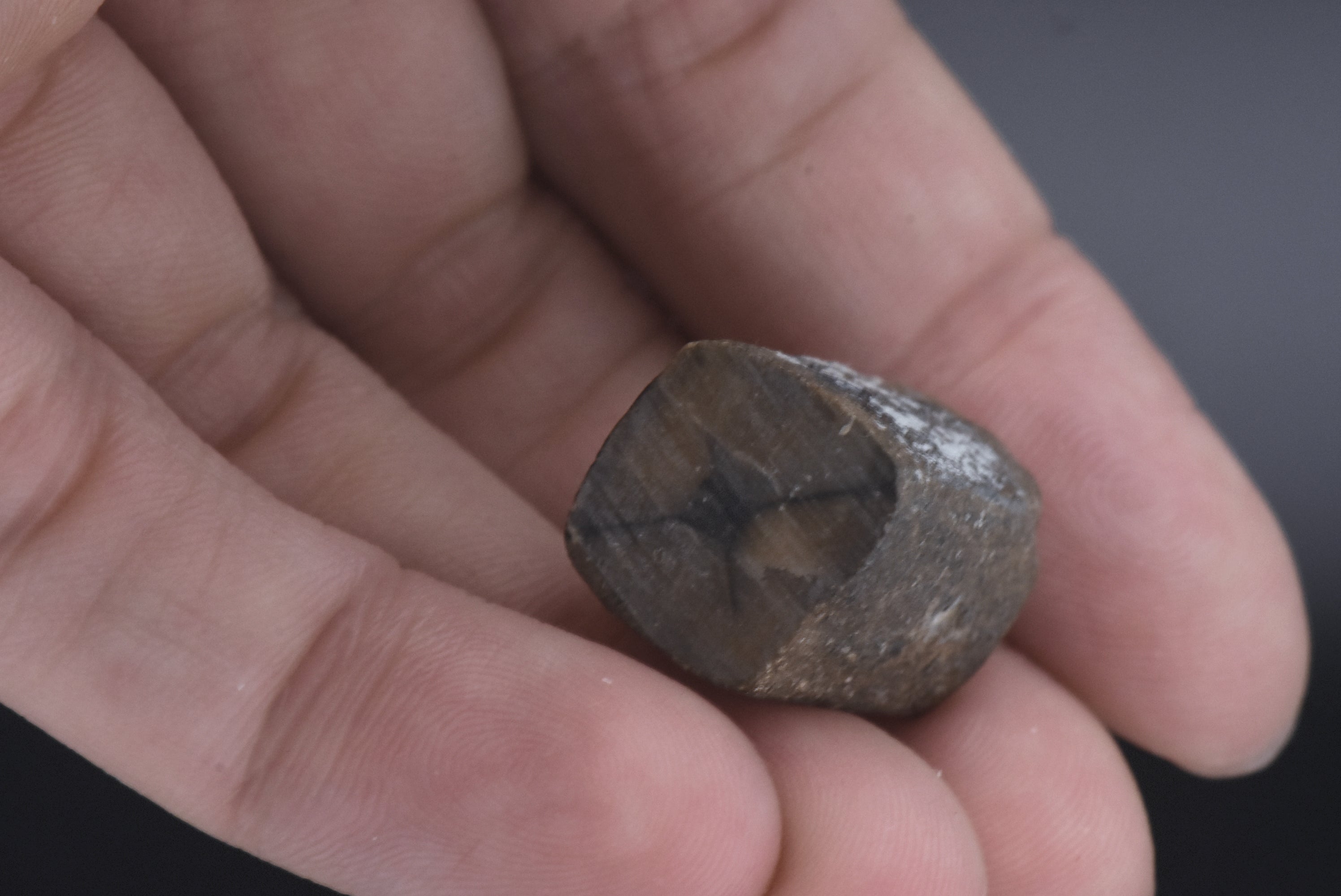 Unpolished Chiastolite Specimen - 10g