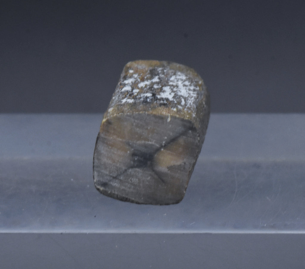 Unpolished Chiastolite Specimen - 10g