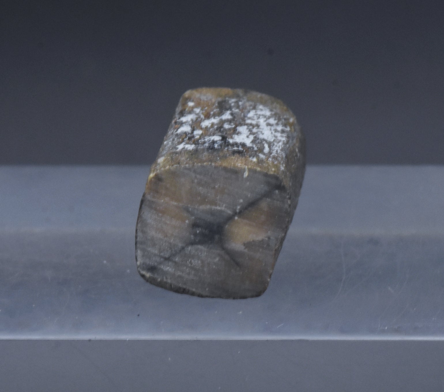 Unpolished Chiastolite Specimen - 10g