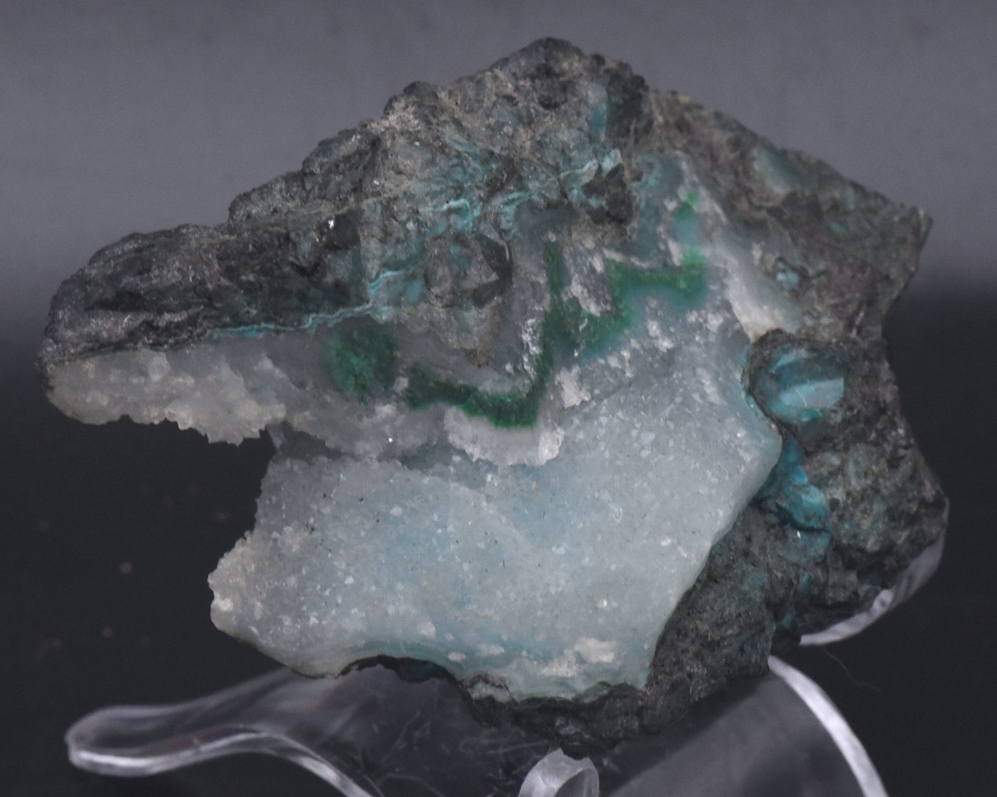 Chrysocolla with Quartz Mineral Specimen - Arizona