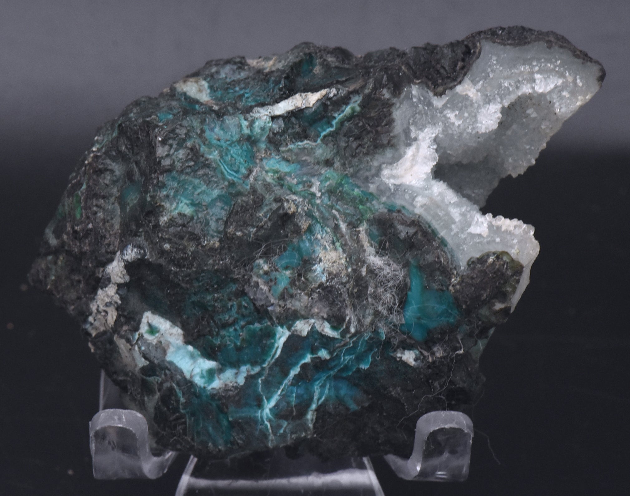 Chrysocolla with Quartz Mineral Specimen - Arizona