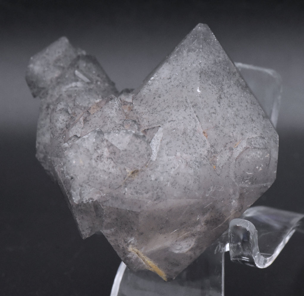 Double Terminated Smoky Quartz Cluster Mineral Specimen - Brazil