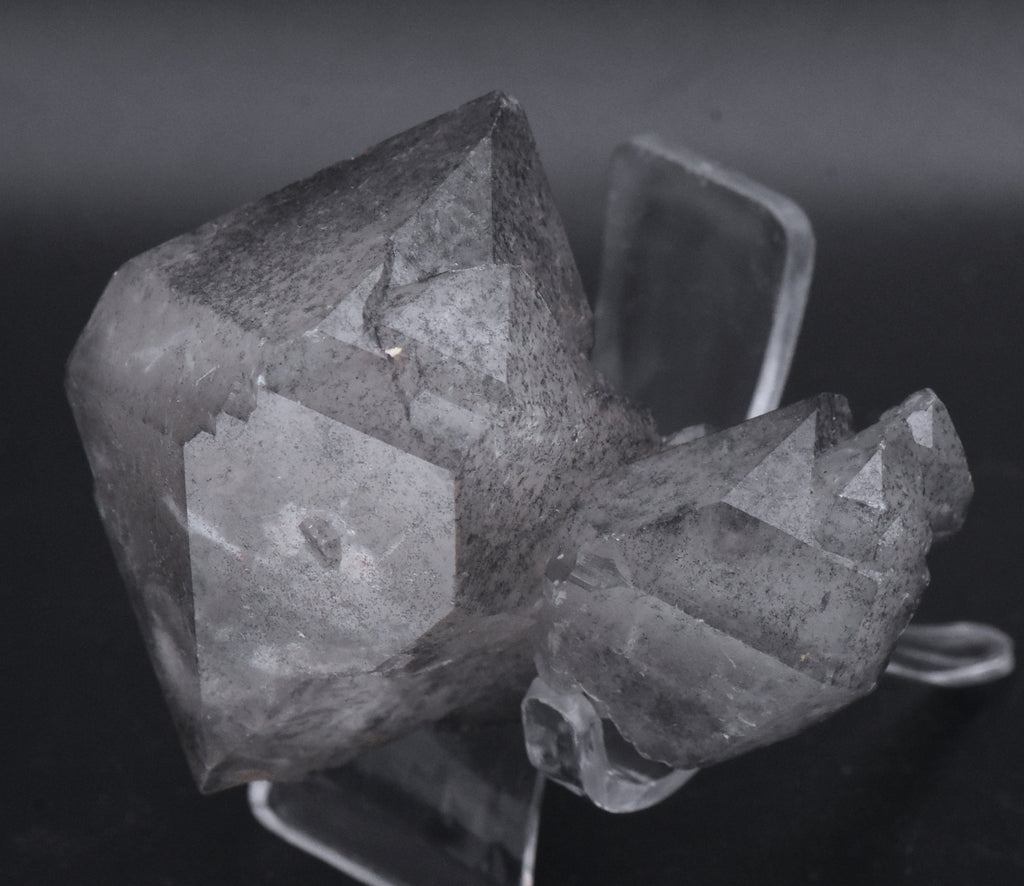 Double Terminated Smoky Quartz Cluster Mineral Specimen - Brazil