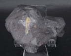 Double Terminated Smoky Quartz Cluster Mineral Specimen - Brazil