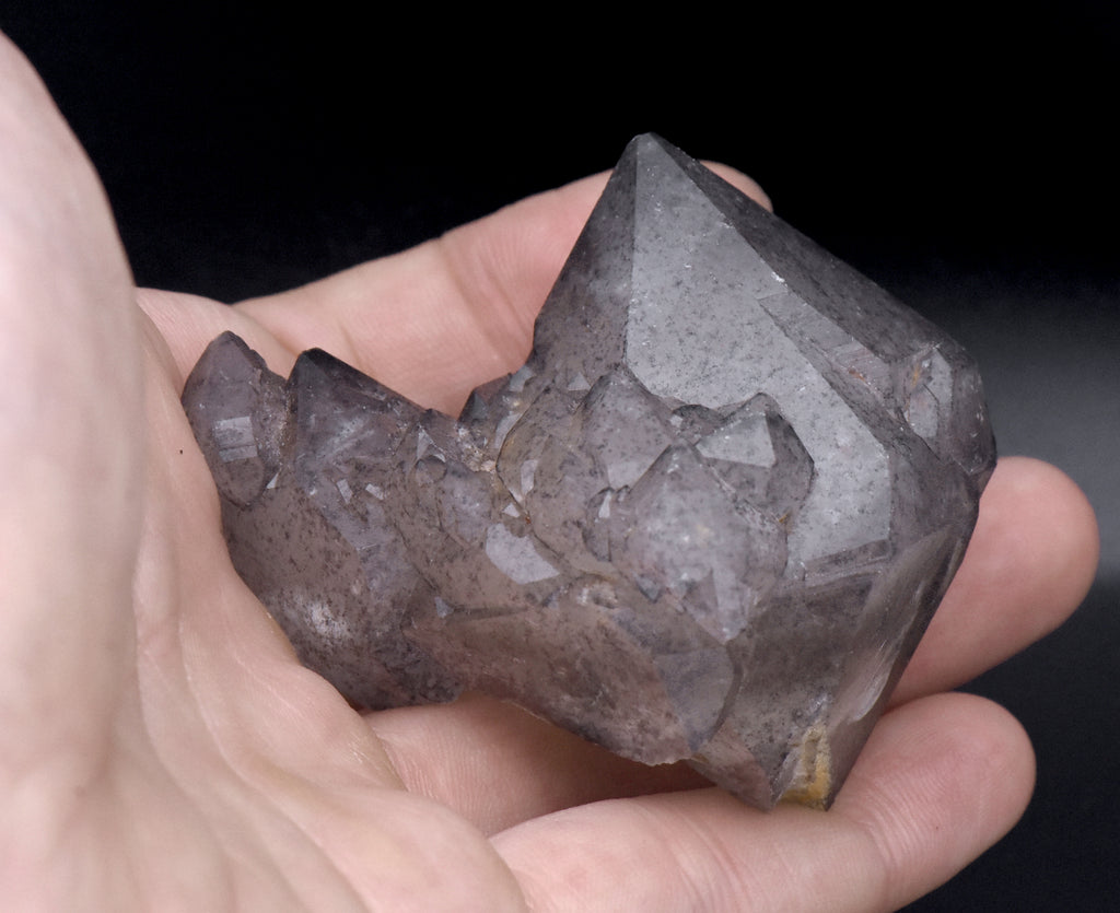 Double Terminated Smoky Quartz Cluster Mineral Specimen - Brazil