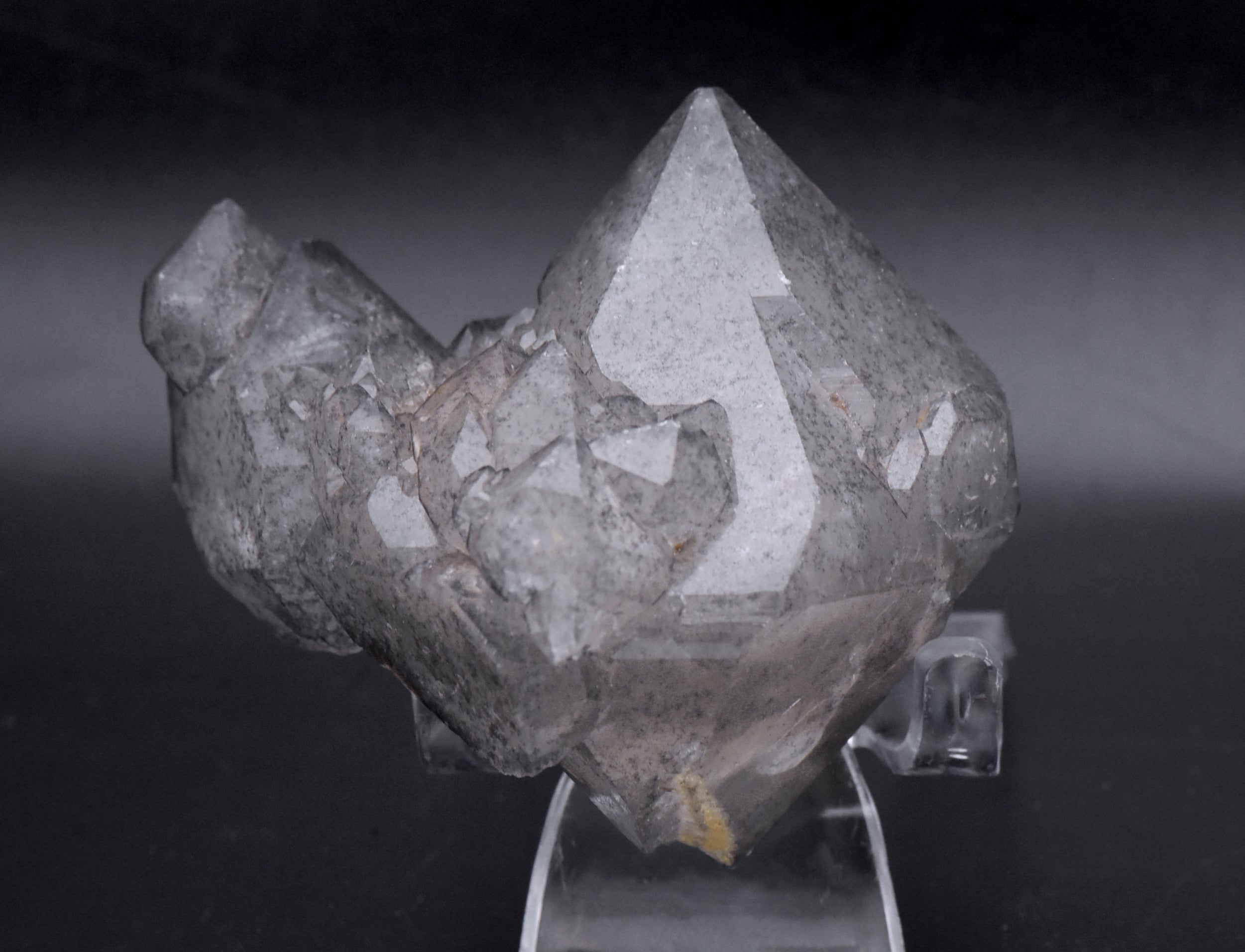 Double Terminated Smoky Quartz Cluster Mineral Specimen - Brazil