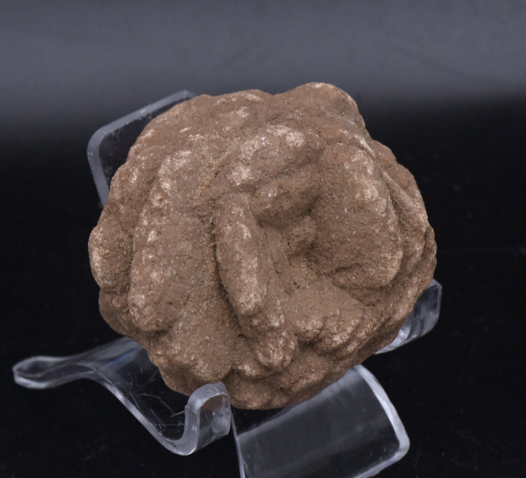 Barite Desert Rose Mineral Specimen - 110g