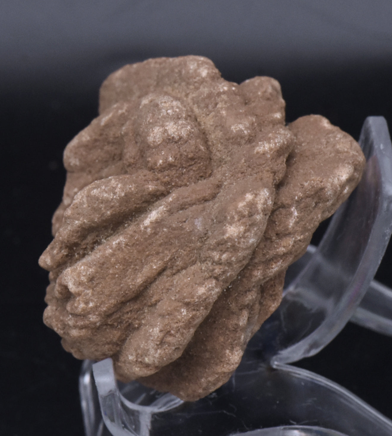 Barite Desert Rose Mineral Specimen - 110g