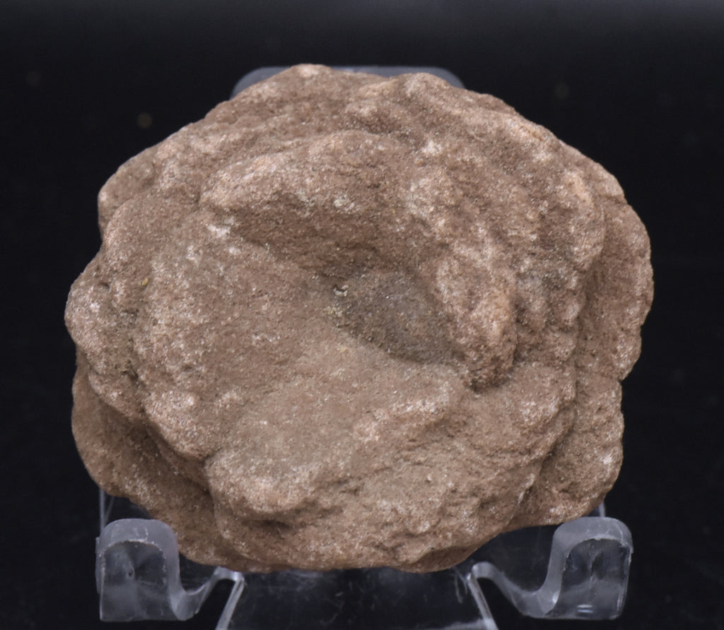 Barite Desert Rose Mineral Specimen - 110g