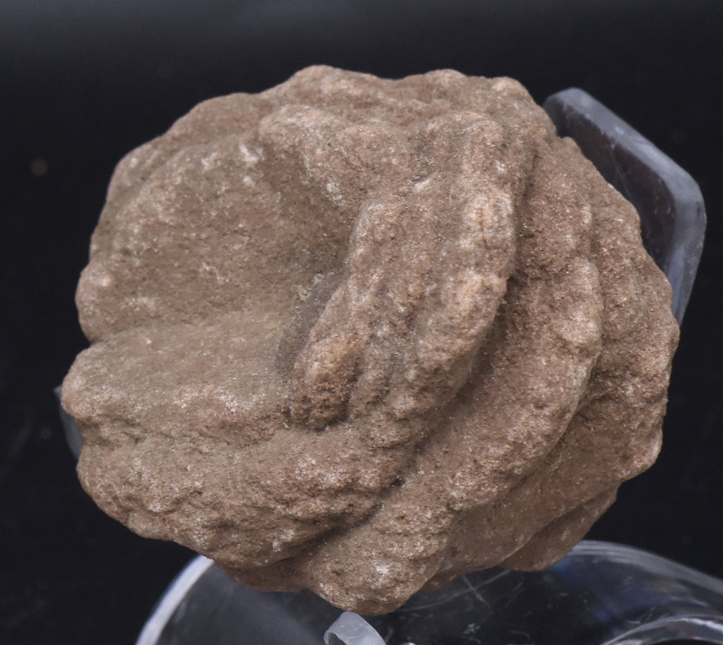 Barite Desert Rose Mineral Specimen - 110g