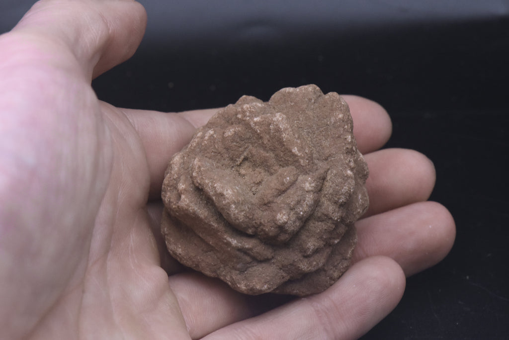 Barite Desert Rose Mineral Specimen - 110g