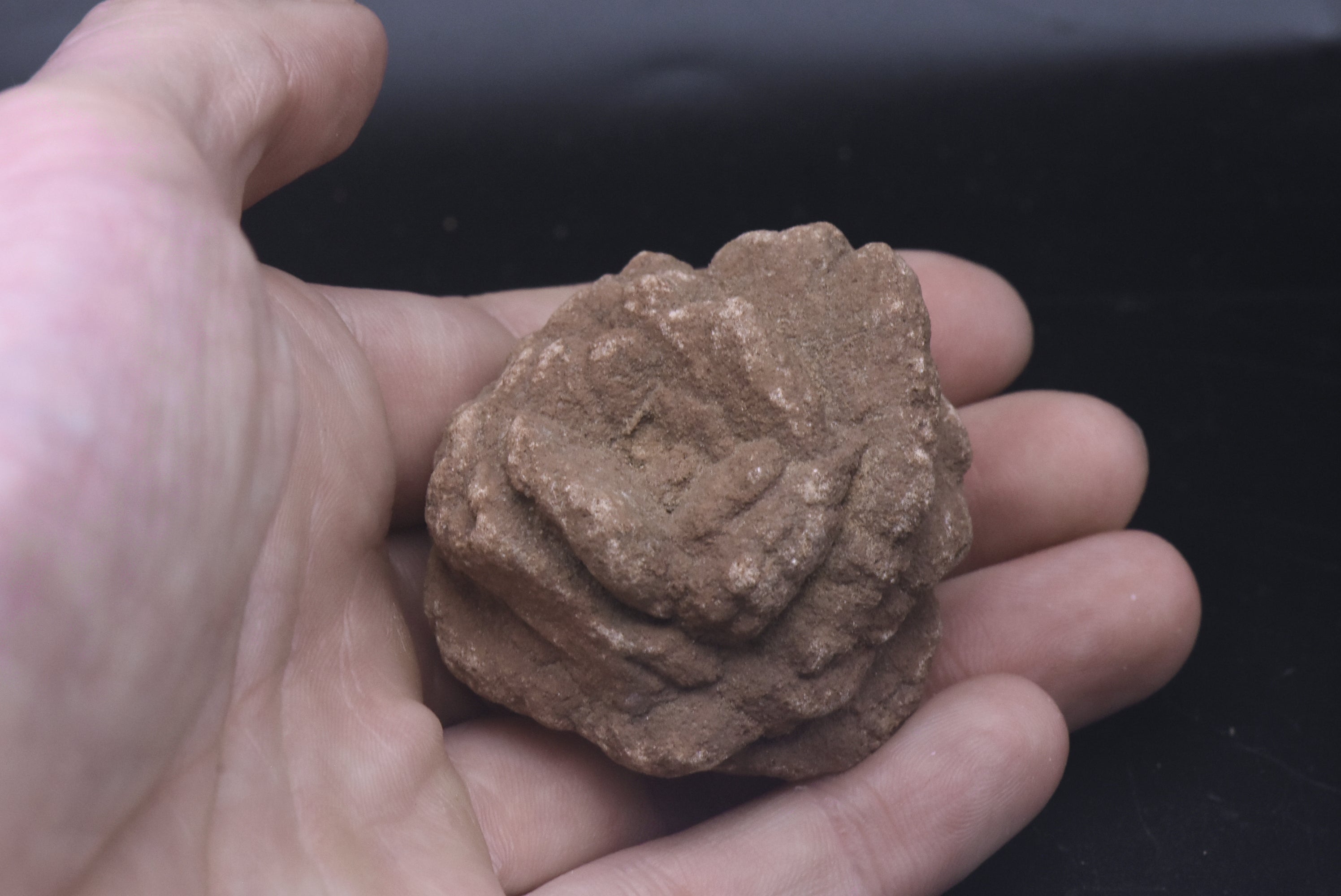 Barite Desert Rose Mineral Specimen - 110g