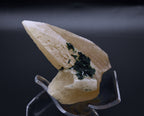 Malachite on Dogtooth Calcite Crystal Mineral Specimens - DRC