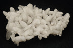 Dogtooth Calcite Crystal Cluster Mineral Specimen - India
