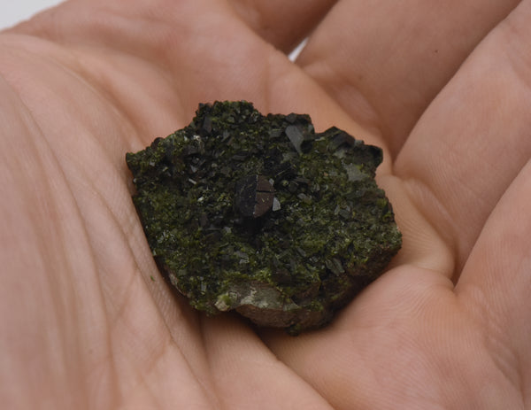 Epidote Crystal Cluster Mineral Specimen - Greece