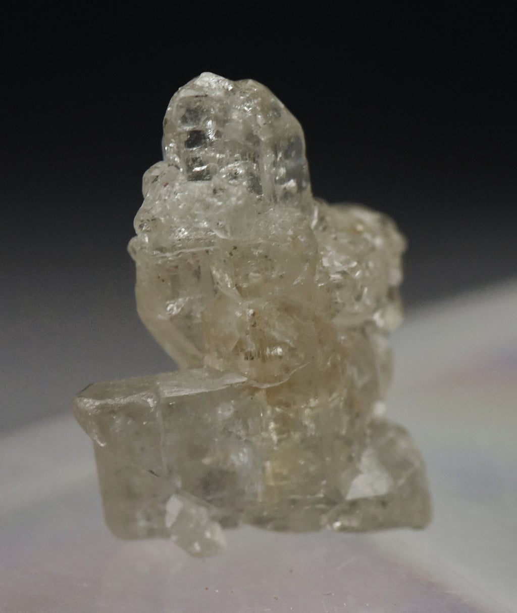 Fluorapatite 'Skeletal' Crystal Mineral Specimen - Brazil
