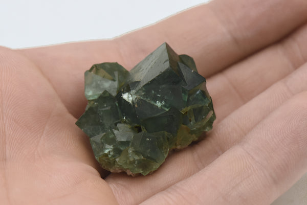 Green Fluorite Crystal Cluster Mineral Specimen - England