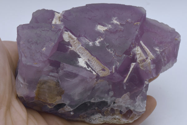 Purple Fluorite Large Crystal Mineral Specimen - Mexico