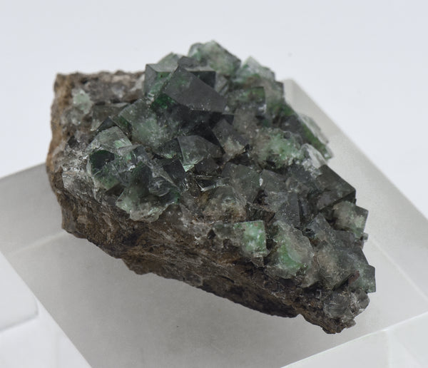 Green Fluorite Crystal Cluster on Matrix - UK