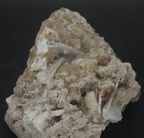 Brown "Root Beer" Fluorite and Celestite Crystal Cluster Mineral Specimen - Ohio, USA