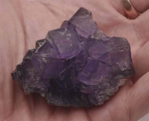 Purple Fluorite Crystal Cluster Mineral Specimen - Greece