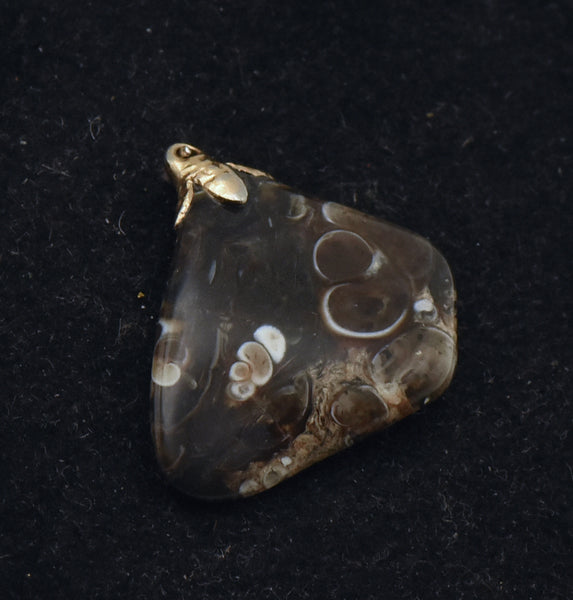 Turtella Jasper Tumbled Fossil Pendant