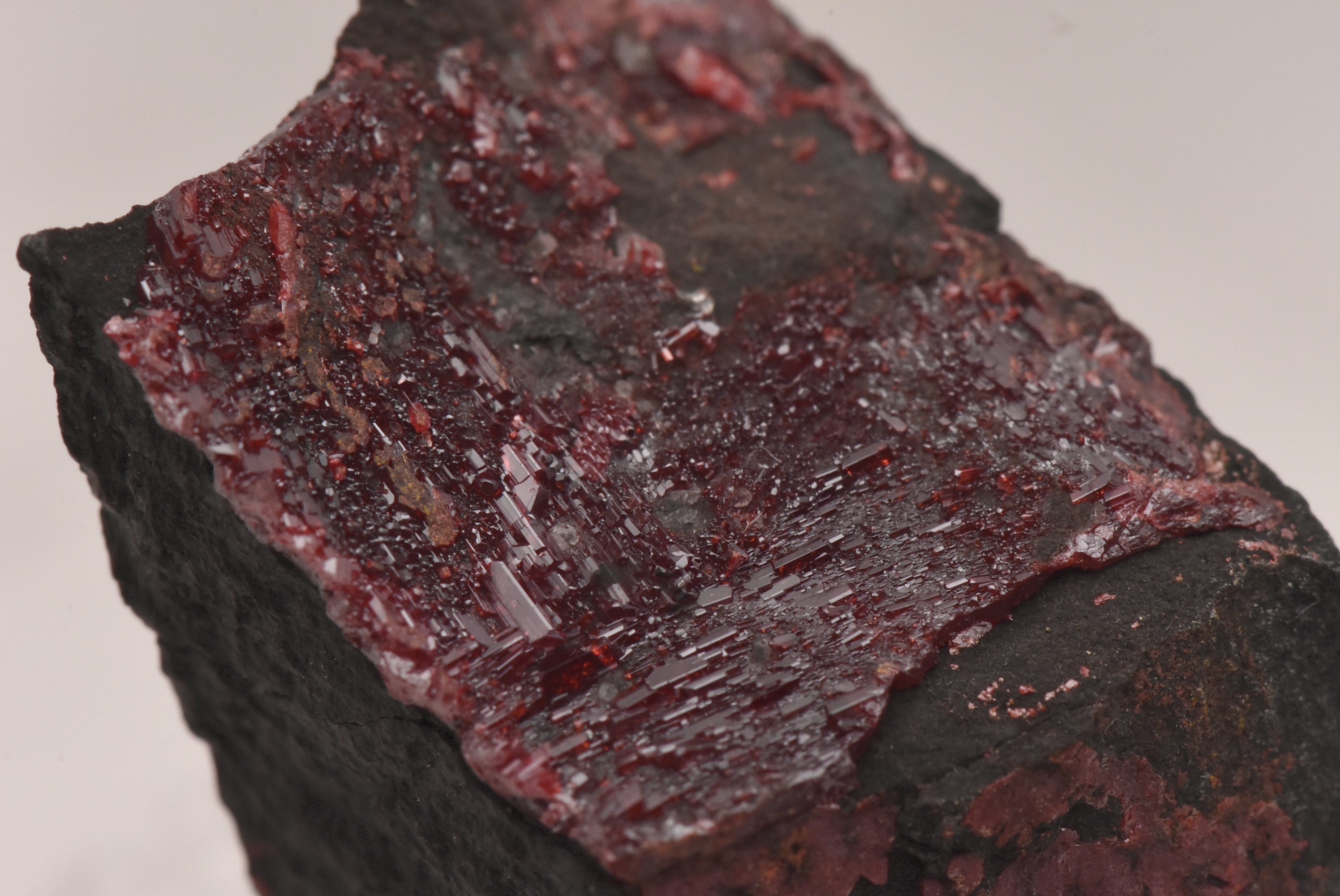 Realgar Crystals on Matrix Thumbnail Specimen - Nevada