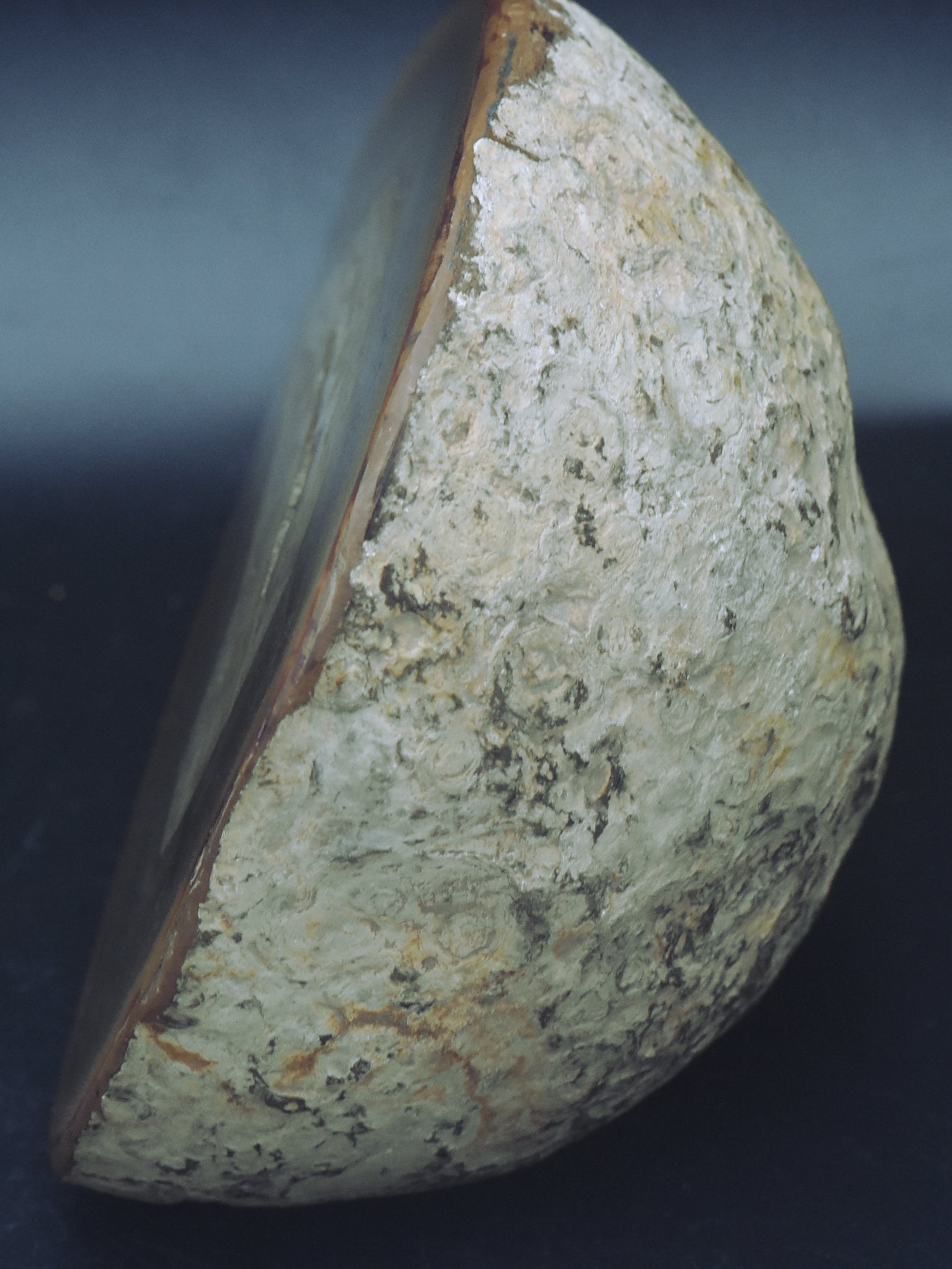 Large Polished Geode Half - 806g