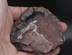 Goethite Mineral Specimen - Michigan