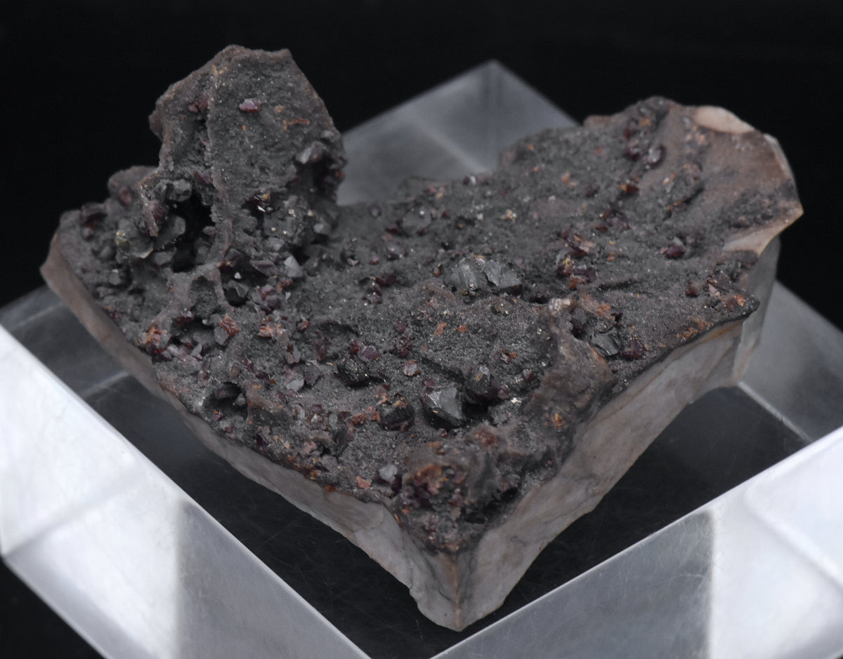 Garnet and Druze with Pyrite on Matrix Mineral Specimen