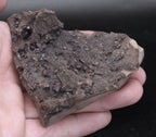 Garnet and Druze with Pyrite on Matrix Mineral Specimen