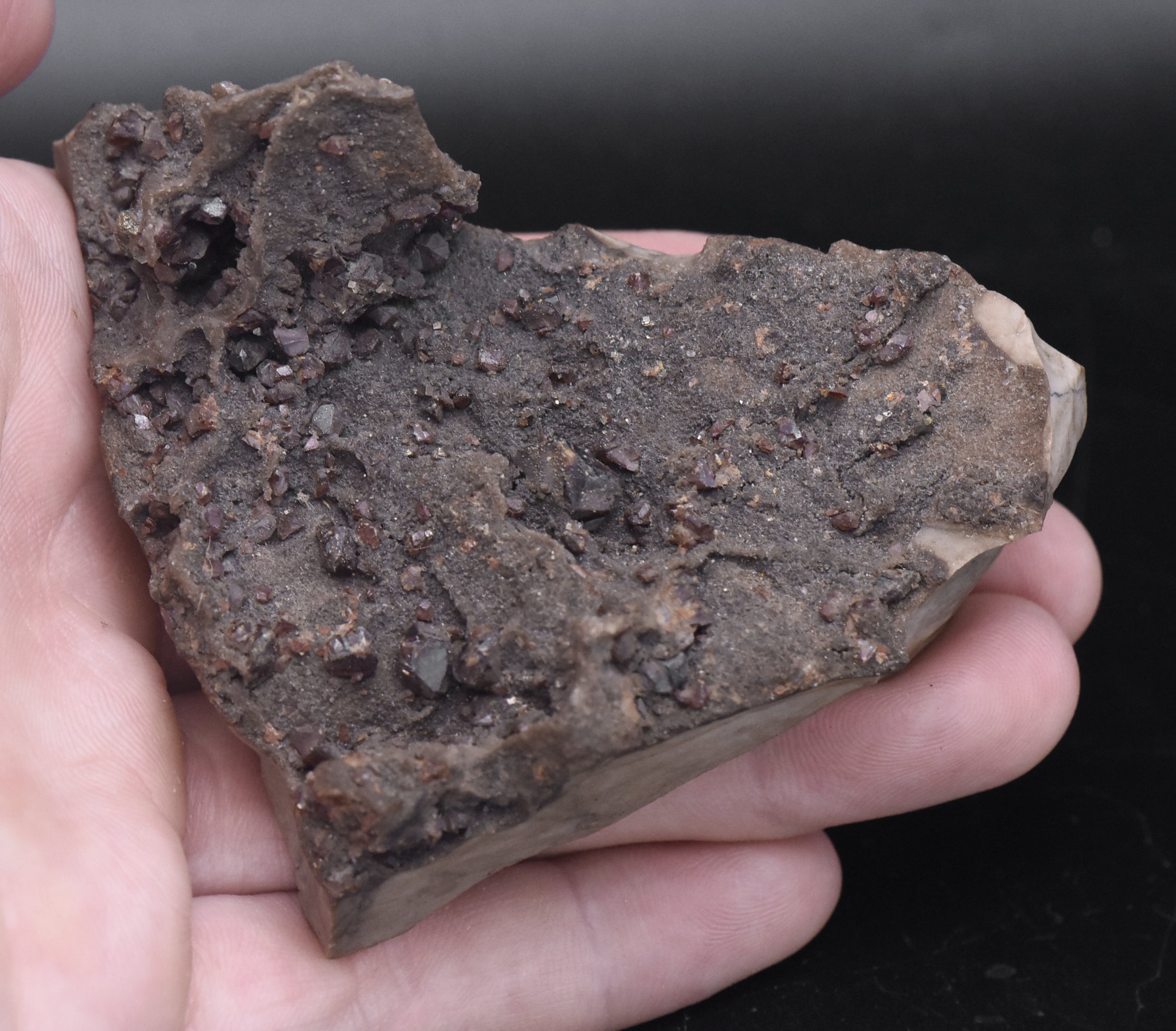 Garnet and Druze with Pyrite on Matrix Mineral Specimen