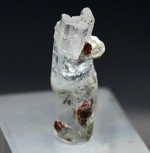 Aquamarine Crystal with Red Garnets and Mica Mineral Specimen - Pakistan