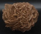 Large Red Gypsum Desert Rose Cluster - 724g
