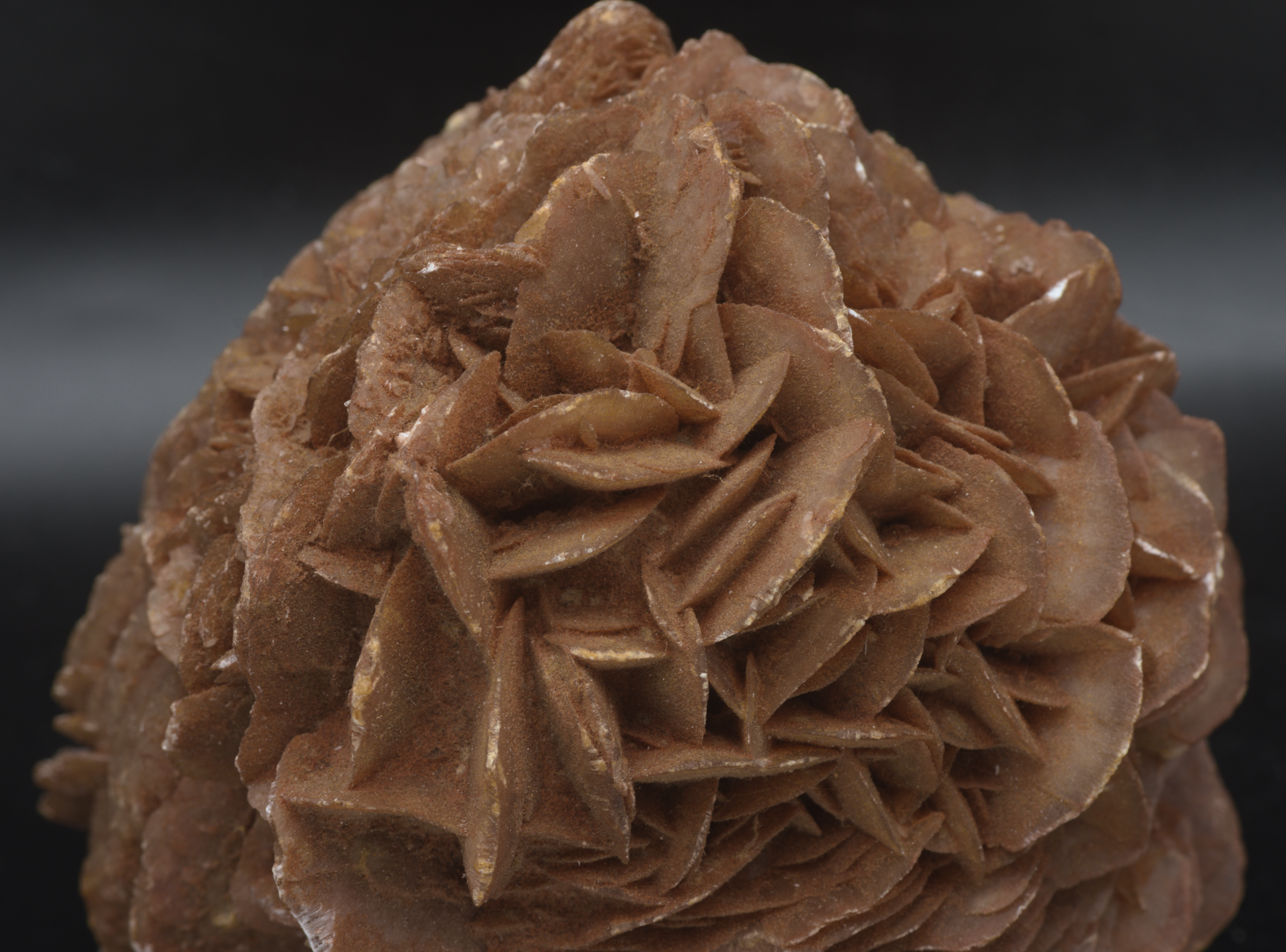 Large Red Gypsum Desert Rose Cluster - 724g