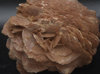Large Red Gypsum Desert Rose Cluster - 724g