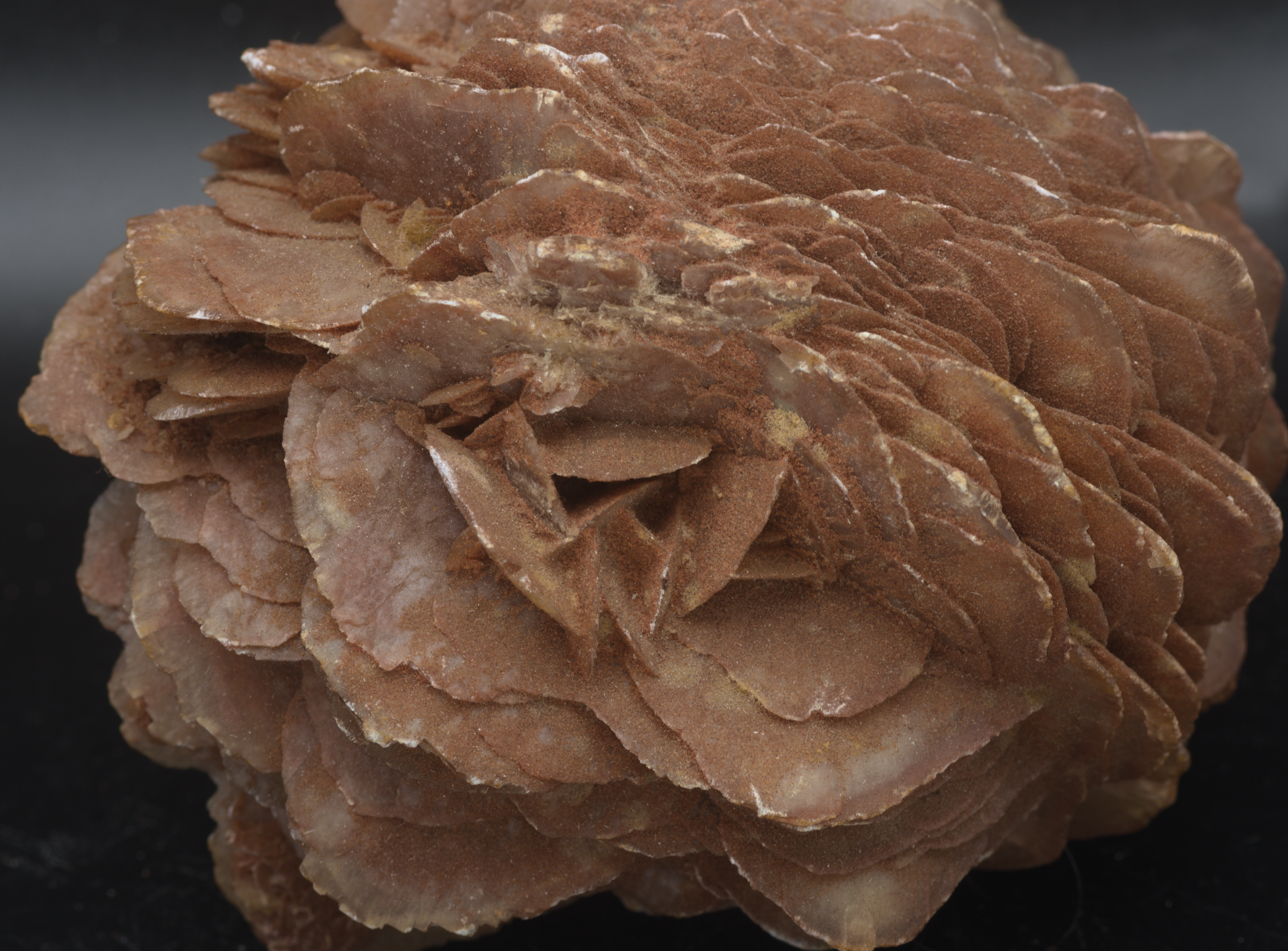 Large Red Gypsum Desert Rose Cluster - 724g