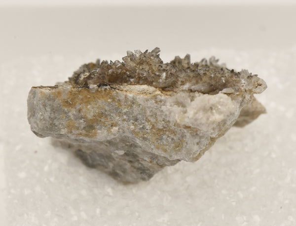 Gypsum Crystals on Matrix Thumbnail Specimen - Colorado