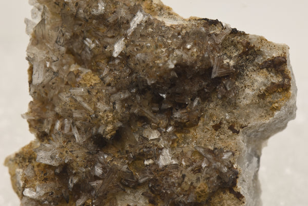 Gypsum Crystals on Matrix Thumbnail Specimen - Colorado