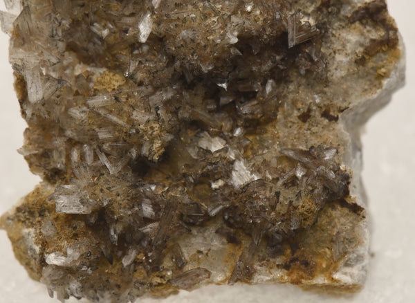 Gypsum Crystals on Matrix Thumbnail Specimen - Colorado